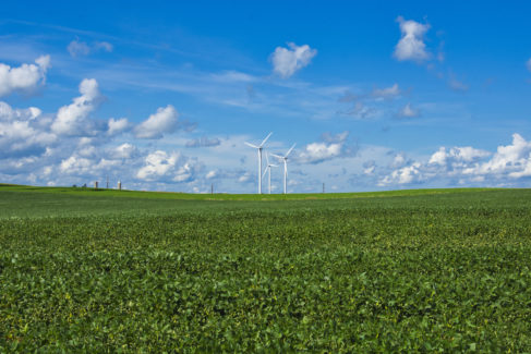 Rural Iowa in High Summer. wind turbine farm
