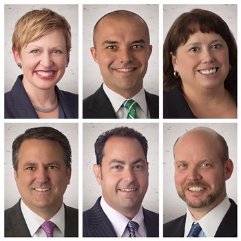 Lora Friedemann, Thomas R. Hipkins, Ann M. Ladd, Kurt J. Niederluecke, Charles D. Segelbaum and David C. West
