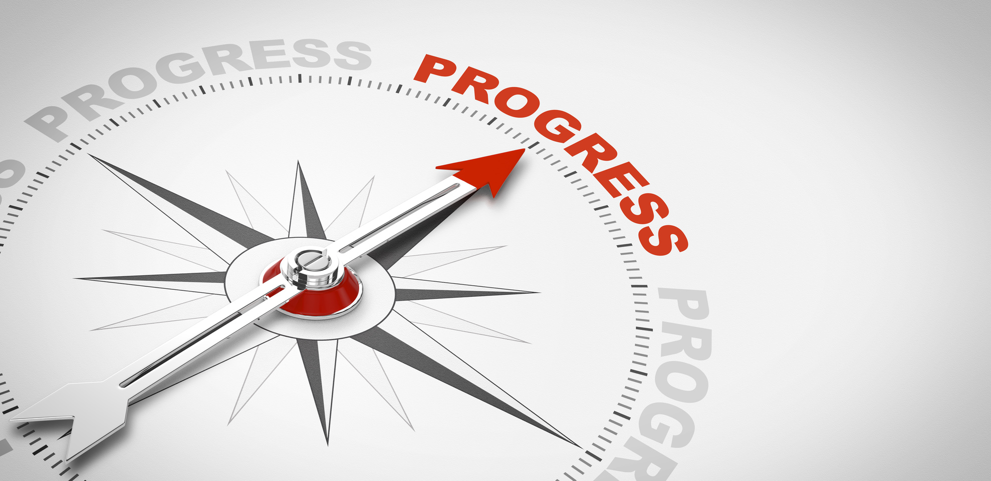 Progress compass