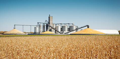 Grain silos with crop field