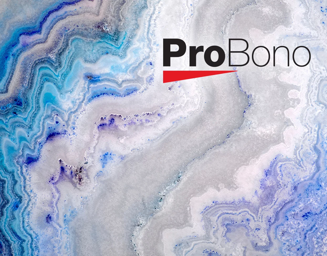 Fredrikson's Annual Pro Bono Stories