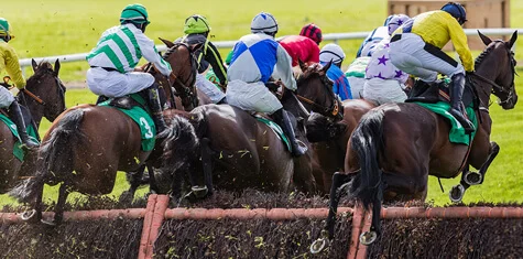 Steeplechase Advisors, LLC